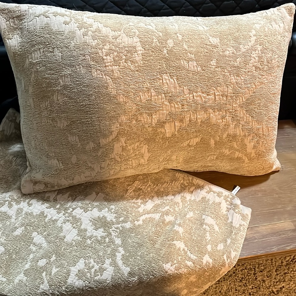 Pottery barn standard pillow covers